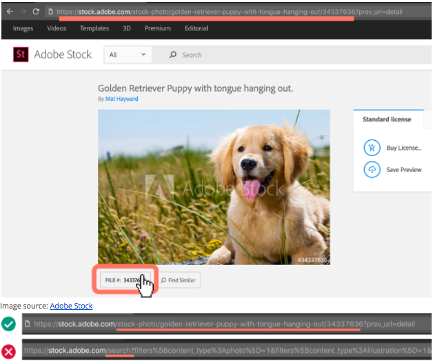 Using_Adobe_Stock_Screenshot_3.png
